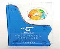 2015~2016年度閔行區(qū)志愿服務先進集體