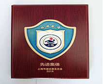 2016年度諾寶中心游泳館救生組先進集體