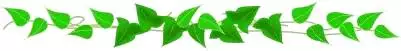 綠色樹葉分割線